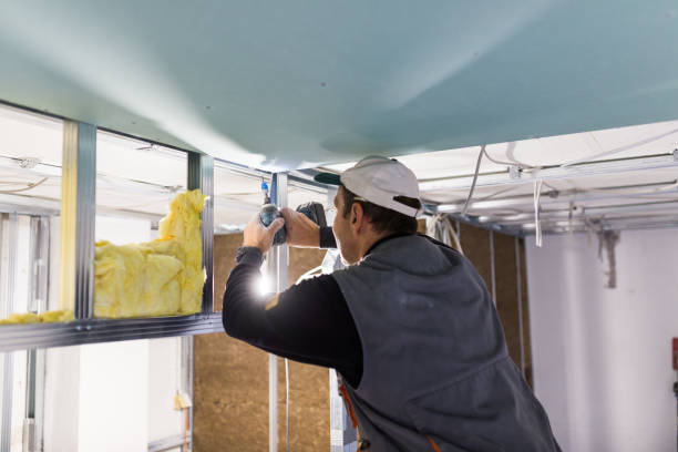 Best Cellulose Insulation in Planada, CA